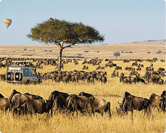 Maasai Mara Overnight